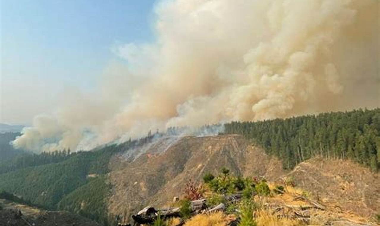 Oregon Fires: Douglas County Wildfire Risk & Safety Living in Oregon: Moving Tips, Cost of Living & Best Cities Oregon Fires: Douglas County Wildfire Risk & Safety | Living in Oregon: Moving Tips, Cost of Living & Best Cities