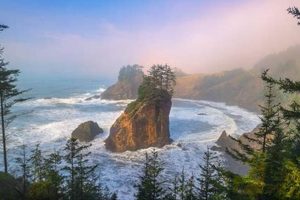 Capture the Wild: Oregon Coast Photography Tips & Tricks Living in Oregon: Moving Tips, Cost of Living & Best Cities Capture the Wild: Oregon Coast Photography Tips & Tricks | Living in Oregon: Moving Tips, Cost of Living & Best Cities