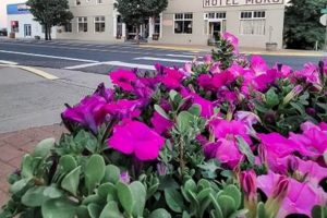 Stay Near Moro Oregon Hotels: Find Your Perfect Getaway! Living in Oregon: Moving Tips, Cost of Living & Best Cities Stay Near Moro Oregon Hotels: Find Your Perfect Getaway! | Living in Oregon: Moving Tips, Cost of Living & Best Cities