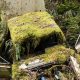 Reporting Abandoned Vehicle Portland Oregon? Guide + Tips | Living in Oregon: Moving Tips, Cost of Living & Best Cities
