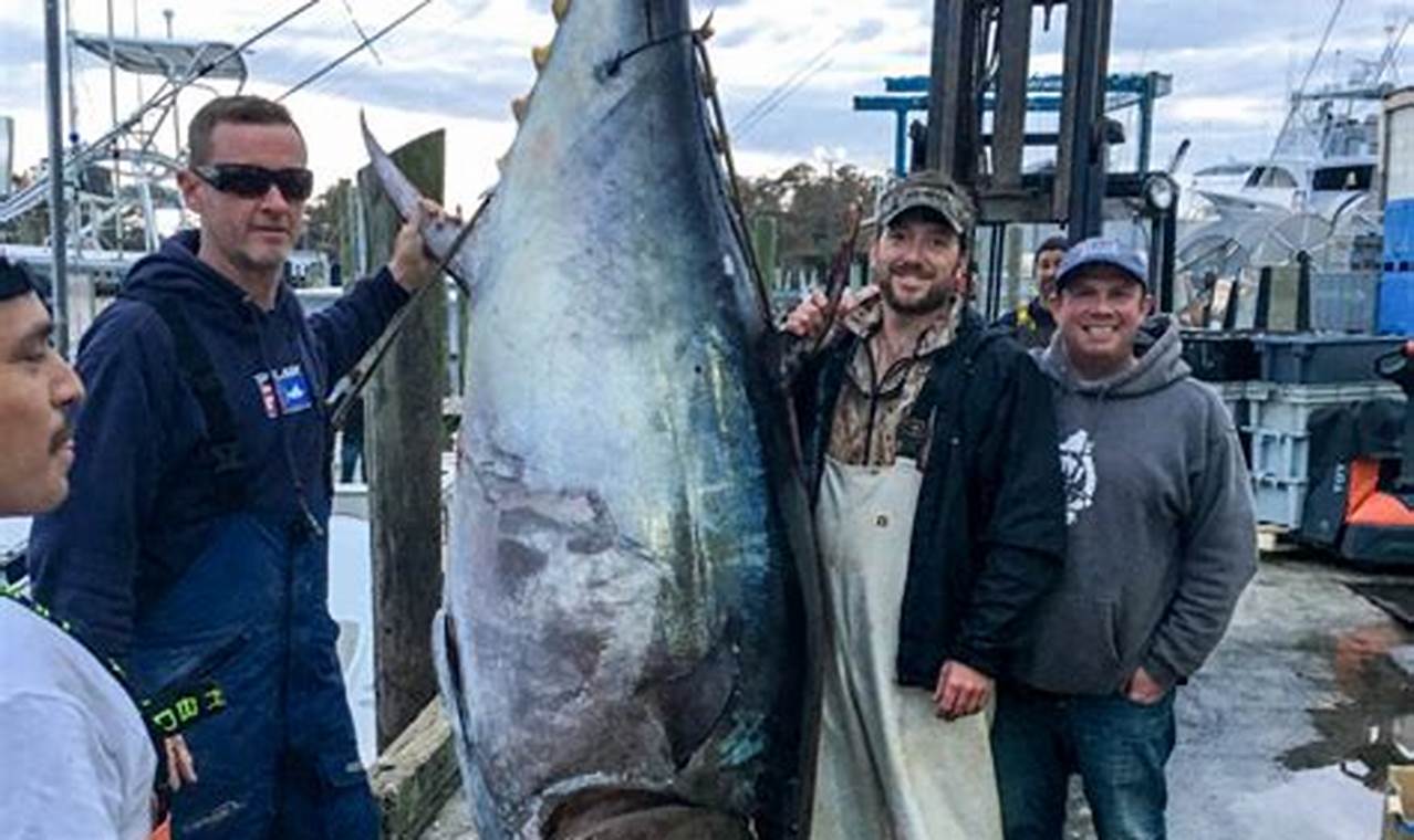 Oregon Coast Tuna Fishing: Your Ultimate Guide Living in Oregon: Moving Tips, Cost of Living & Best Cities Oregon Coast Tuna Fishing: Your Ultimate Guide | Living in Oregon: Moving Tips, Cost of Living & Best Cities