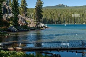 Explore Bobby Lake Oregon: A Cascade Gem! | Living in Oregon: Moving Tips, Cost of Living & Best Cities