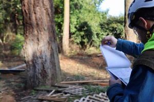 Portland Oregon Tree Removal Permit | Living in Oregon: Moving Tips, Cost of Living & Best Cities