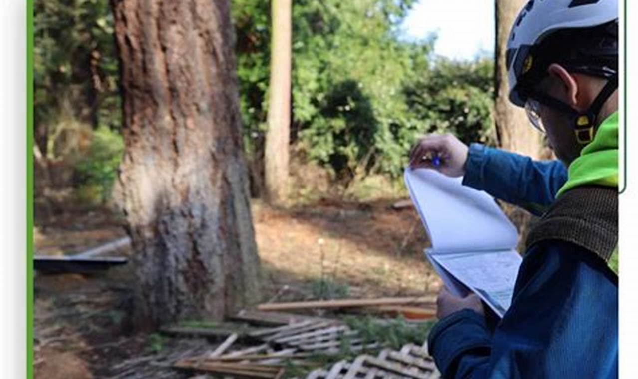 Portland Oregon Tree Removal Permit Living in Oregon: Moving Tips, Cost of Living & Best Cities Portland Oregon Tree Removal Permit | Living in Oregon: Moving Tips, Cost of Living & Best Cities