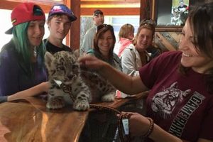 Explore Bandon, Oregon Animal Parks: Wildlife & More! | Living in Oregon: Moving Tips, Cost of Living & Best Cities