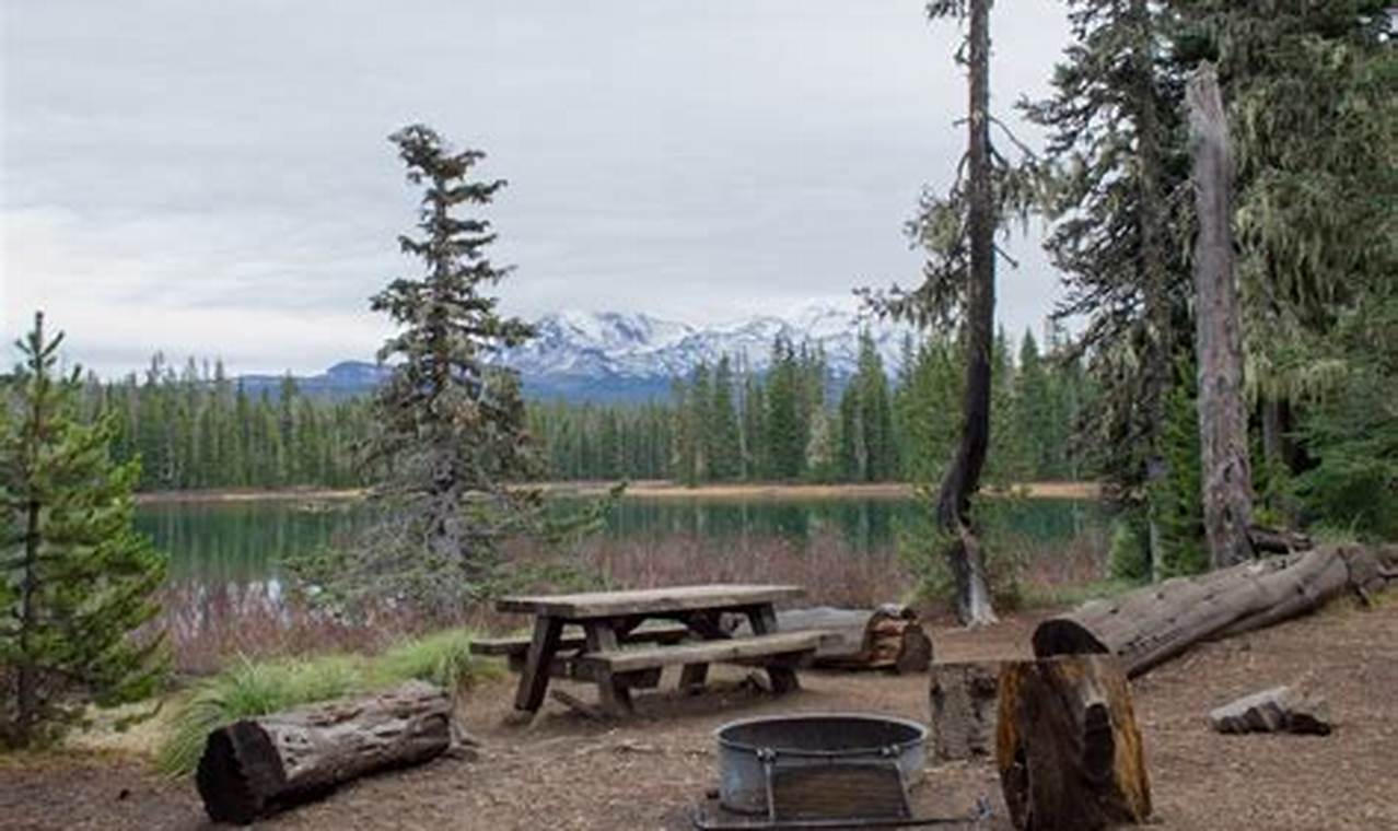 Camping at Scott Lake Campground, Oregon: Your Guide Living in Oregon: Moving Tips, Cost of Living & Best Cities Camping at Scott Lake Campground, Oregon: Your Guide | Living in Oregon: Moving Tips, Cost of Living & Best Cities