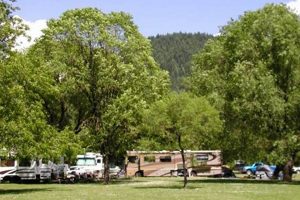 Explore Linn County Oregon Parks: Nature Awaits! Living in Oregon: Moving Tips, Cost of Living & Best Cities Explore Linn County Oregon Parks: Nature Awaits! | Living in Oregon: Moving Tips, Cost of Living & Best Cities