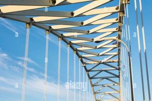 Join Portland Oregon Cycling Clubs: Rides & More! Living in Oregon: Moving Tips, Cost of Living & Best Cities Join Portland Oregon Cycling Clubs: Rides & More! | Living in Oregon: Moving Tips, Cost of Living & Best Cities