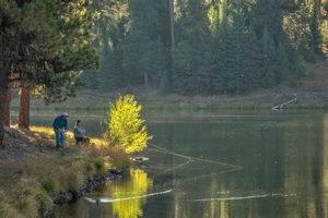Best Fishing Lakes Oregon: Your Ultimate Guide | Living in Oregon: Moving Tips, Cost of Living & Best Cities
