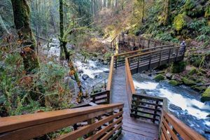 Find Your Dream Home: Sweet Home Oregon Rentals | Living in Oregon: Moving Tips, Cost of Living & Best Cities