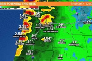 Portland's June Weather: What to Expect in Portland Oregon in June | Living in Oregon: Moving Tips, Cost of Living & Best Cities