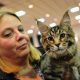 Cat Show Portland Oregon | Living in Oregon: Moving Tips, Cost of Living & Best Cities