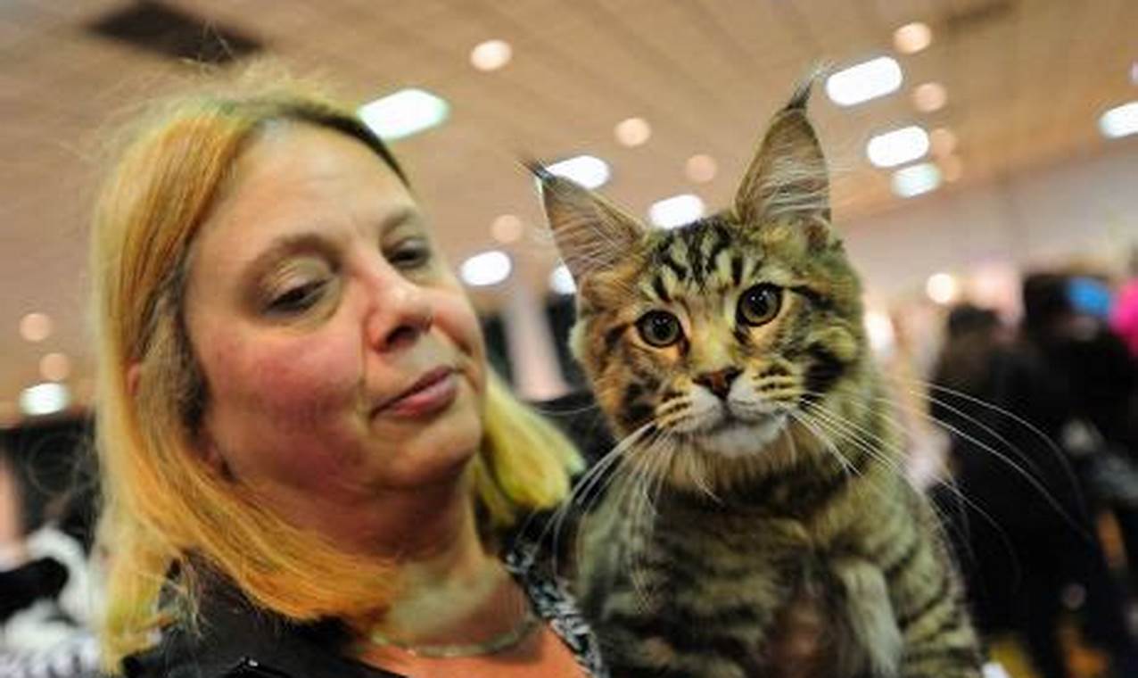Cat Show Portland Oregon | Living in Oregon: Moving Tips, Cost of Living & Best Cities