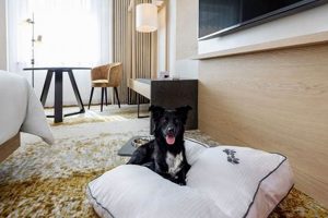Burns, OR: Pet Friendly Hotels + Your Furry Pal | Living in Oregon: Moving Tips, Cost of Living & Best Cities