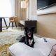 Burns, OR: Pet Friendly Hotels + Your Furry Pal | Living in Oregon: Moving Tips, Cost of Living & Best Cities