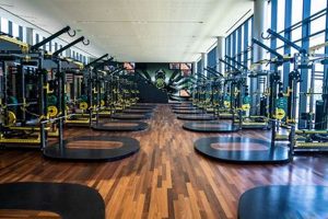 Inside the Oregon Ducks Football Weight Room: Power & Strength Living in Oregon: Moving Tips, Cost of Living & Best Cities Inside the Oregon Ducks Football Weight Room: Power & Strength | Living in Oregon: Moving Tips, Cost of Living & Best Cities