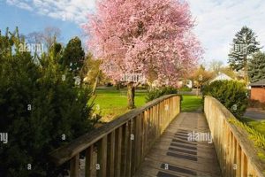 Find: Westmoreland Manor Portland OR | Senior Living Guide | Living in Oregon: Moving Tips, Cost of Living & Best Cities