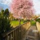 Find: Westmoreland Manor Portland OR | Senior Living Guide | Living in Oregon: Moving Tips, Cost of Living & Best Cities