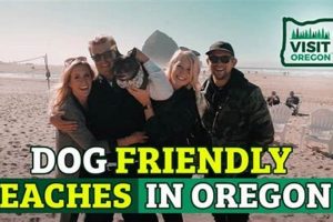 Bandon, Oregon: Top Dog Friendly Hotels &amp; Stays | Living in Oregon: Moving Tips, Cost of Living & Best Cities