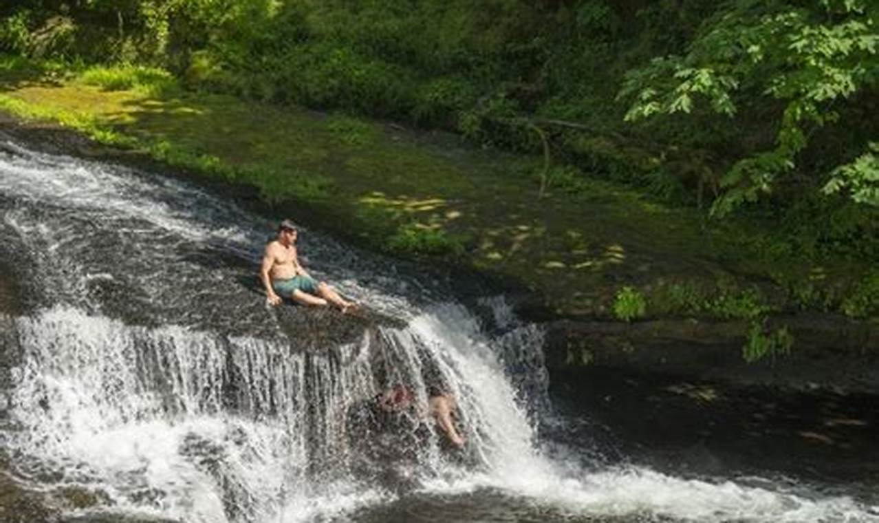Explore Lake Creek Falls, Oregon: A Nature's Gem Living in Oregon: Moving Tips, Cost of Living & Best Cities Explore Lake Creek Falls, Oregon: A Nature's Gem | Living in Oregon: Moving Tips, Cost of Living & Best Cities