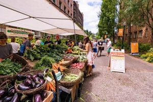 Best Oregon Coast Farmers Markets Near You! Living in Oregon: Moving Tips, Cost of Living & Best Cities Best Oregon Coast Farmers Markets Near You! | Living in Oregon: Moving Tips, Cost of Living & Best Cities