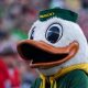 Watch Oregon Ducks Today: What Channel is the Game? | Living in Oregon: Moving Tips, Cost of Living & Best Cities