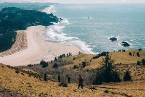 Best Hikes: Oregon Coast Trails & Hidden Gems Living in Oregon: Moving Tips, Cost of Living & Best Cities Best Hikes: Oregon Coast Trails & Hidden Gems | Living in Oregon: Moving Tips, Cost of Living & Best Cities