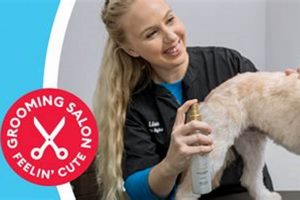 Top Dog Grooming Oregon City: Styles & Care Living in Oregon: Moving Tips, Cost of Living & Best Cities Top Dog Grooming Oregon City: Styles & Care | Living in Oregon: Moving Tips, Cost of Living & Best Cities