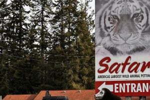 Your Guide to West Coast Game Park Safari in Oregon! | Living in Oregon: Moving Tips, Cost of Living & Best Cities