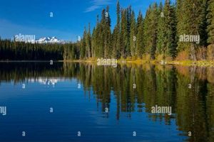 Discover Gold Lake, Oregon: A Cascade Jewel Living in Oregon: Moving Tips, Cost of Living & Best Cities Discover Gold Lake, Oregon: A Cascade Jewel | Living in Oregon: Moving Tips, Cost of Living & Best Cities