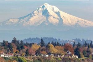 A Quick Portland Escape: 1 Day in Portland, Oregon Guide Living in Oregon: Moving Tips, Cost of Living & Best Cities A Quick Portland Escape: 1 Day in Portland, Oregon Guide | Living in Oregon: Moving Tips, Cost of Living & Best Cities