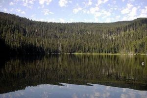 Explore Badger Lake Oregon: Camping & Fishing | Living in Oregon: Moving Tips, Cost of Living & Best Cities