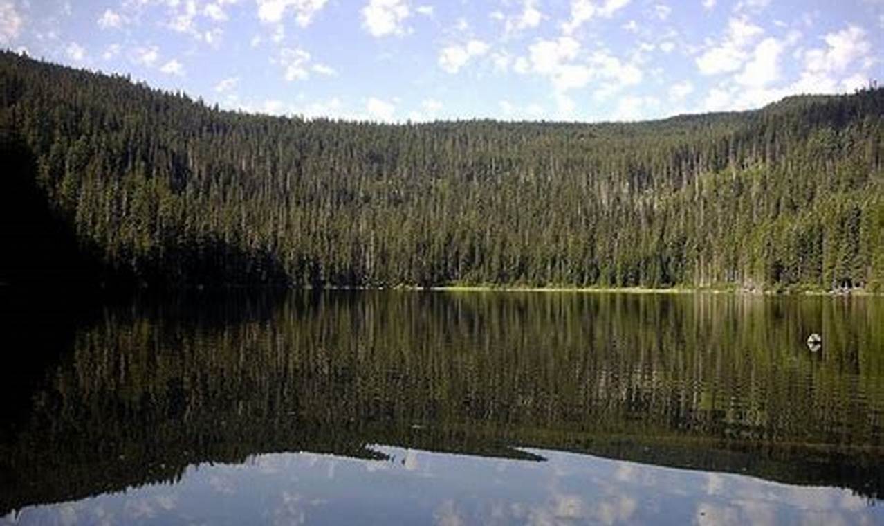 Explore Badger Lake Oregon: Camping & Fishing Living in Oregon: Moving Tips, Cost of Living & Best Cities Explore Badger Lake Oregon: Camping & Fishing | Living in Oregon: Moving Tips, Cost of Living & Best Cities