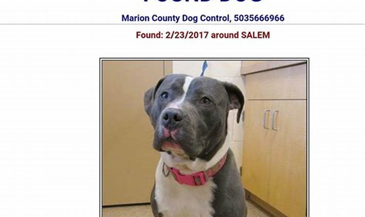 Lost Pets Salem Oregon Living in Oregon: Moving Tips, Cost of Living & Best Cities Lost Pets Salem Oregon | Living in Oregon: Moving Tips, Cost of Living & Best Cities