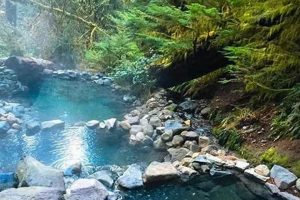 Your Guide: Hot Springs Near Crater Lake, Oregon Oasis Living in Oregon: Moving Tips, Cost of Living & Best Cities Your Guide: Hot Springs Near Crater Lake, Oregon Oasis | Living in Oregon: Moving Tips, Cost of Living & Best Cities