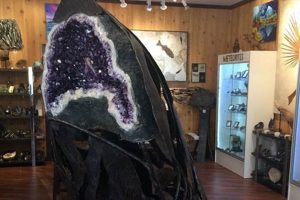 Unearthing Prehistoric Lincoln City, Oregon's Past | Living in Oregon: Moving Tips, Cost of Living & Best Cities