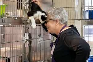 Find Home: Home At Last Humane Society The Dalles, OR Animals | Living in Oregon: Moving Tips, Cost of Living & Best Cities