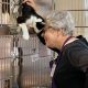 Find Home: Home At Last Humane Society The Dalles, OR Animals | Living in Oregon: Moving Tips, Cost of Living & Best Cities