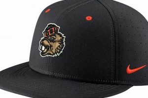 Show Your Pride: Oregon State Baseball Hat Collection | Living in Oregon: Moving Tips, Cost of Living & Best Cities