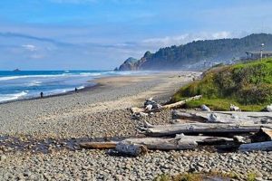 Road Trip: Portland Oregon to Lincoln City Oregon Guide | Living in Oregon: Moving Tips, Cost of Living & Best Cities