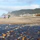 Find Your Perfect Walking Pad in Lincoln City, Oregon! | Living in Oregon: Moving Tips, Cost of Living & Best Cities