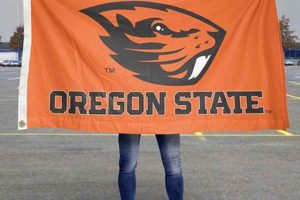 Show Your Spirit! Mini Oregon State Beaver Flag Pride | Living in Oregon: Moving Tips, Cost of Living & Best Cities