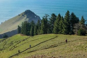 Best Lincoln City, OR Hikes: Trails & Coastal Walks Living in Oregon: Moving Tips, Cost of Living & Best Cities Best Lincoln City, OR Hikes: Trails & Coastal Walks | Living in Oregon: Moving Tips, Cost of Living & Best Cities