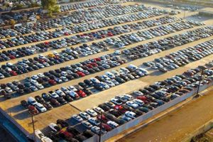 Find Great Deals: Car Auctions Eugene Oregon Near You! | Living in Oregon: Moving Tips, Cost of Living & Best Cities