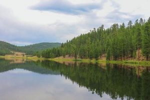 Explore Yellowjacket Lake, Oregon: A Nature's Gem! | Living in Oregon: Moving Tips, Cost of Living & Best Cities