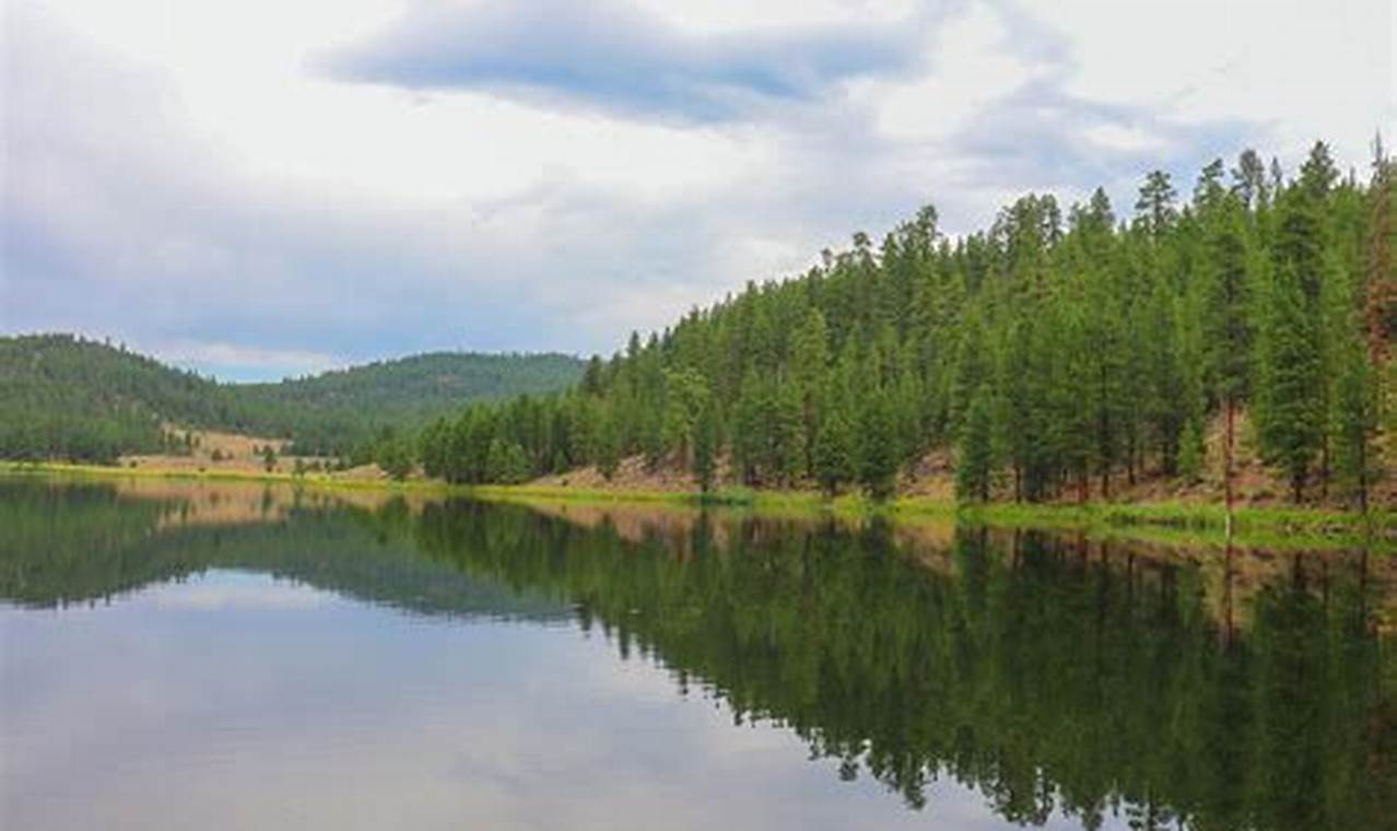 Explore Yellowjacket Lake, Oregon: A Nature's Gem! Living in Oregon: Moving Tips, Cost of Living & Best Cities Explore Yellowjacket Lake, Oregon: A Nature's Gem! | Living in Oregon: Moving Tips, Cost of Living & Best Cities