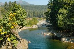 Swimming Holes Portland Oregon Living in Oregon: Moving Tips, Cost of Living & Best Cities Swimming Holes Portland Oregon | Living in Oregon: Moving Tips, Cost of Living & Best Cities