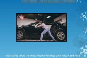 Paintless Dent Repair Portland Oregon Living in Oregon: Moving Tips, Cost of Living & Best Cities Paintless Dent Repair Portland Oregon | Living in Oregon: Moving Tips, Cost of Living & Best Cities