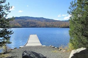 Explore Olive Lake Oregon: A Gem in the Elkhorns! | Living in Oregon: Moving Tips, Cost of Living & Best Cities