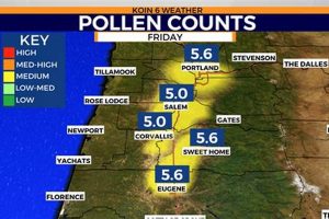 Portland Pollen Alert: Survive Oregon Allergy Season Living in Oregon: Moving Tips, Cost of Living & Best Cities Portland Pollen Alert: Survive Oregon Allergy Season | Living in Oregon: Moving Tips, Cost of Living & Best Cities